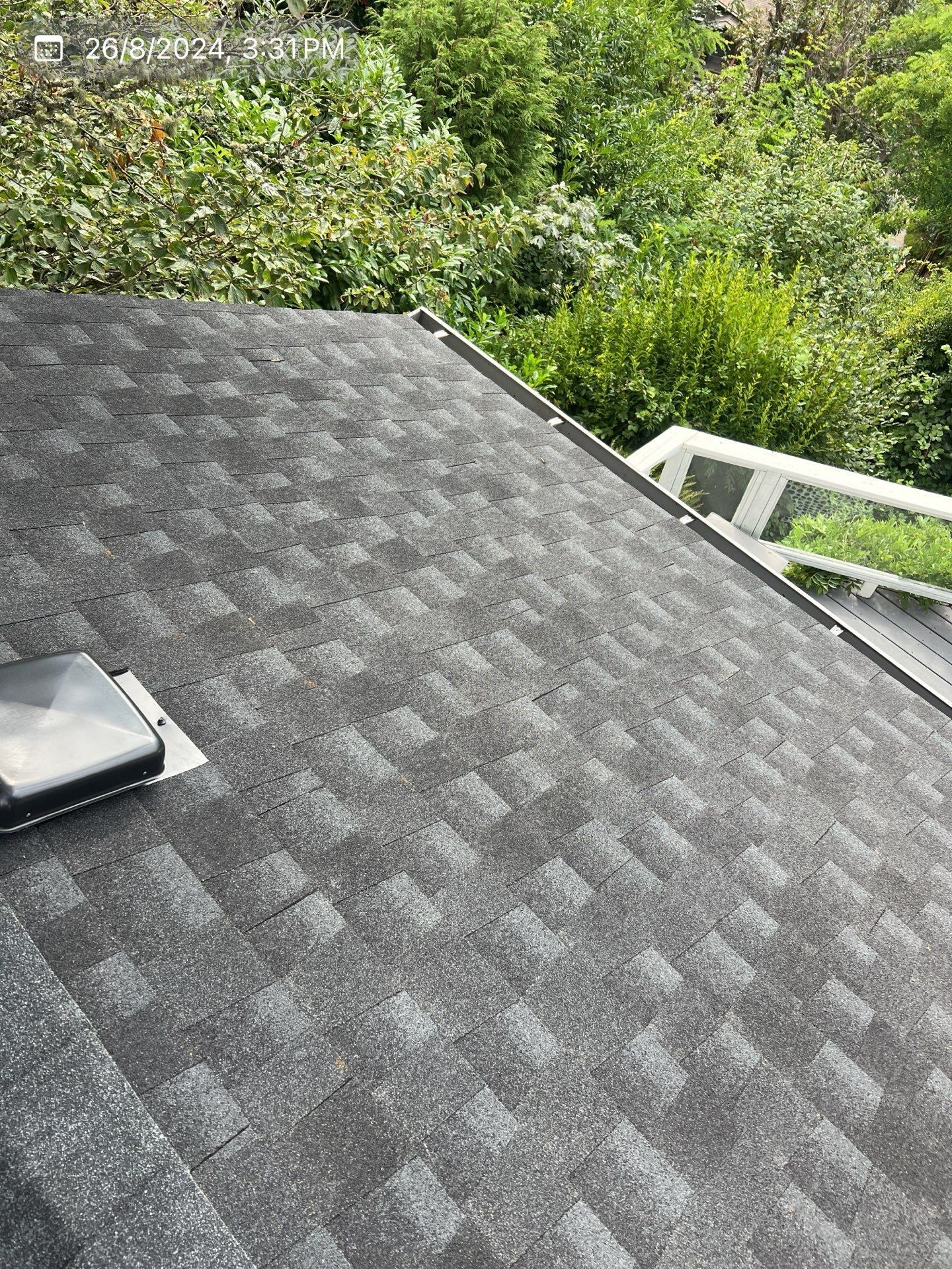 Dark asphalt shingle roof with a vent and green foliage in the background.