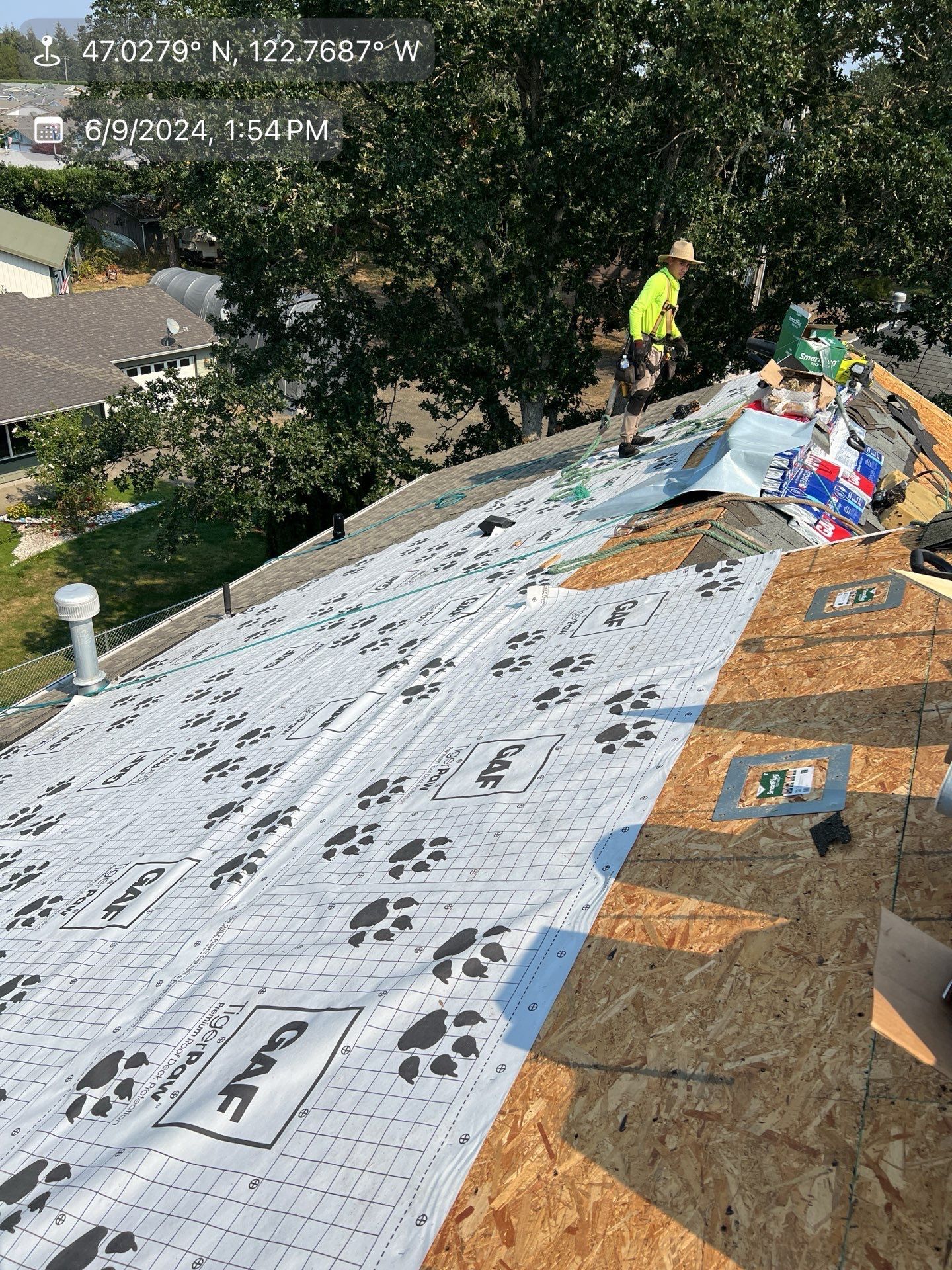 Roofer on roof installing material. Overlapping white sheets with paw prints; blue sky; green trees.