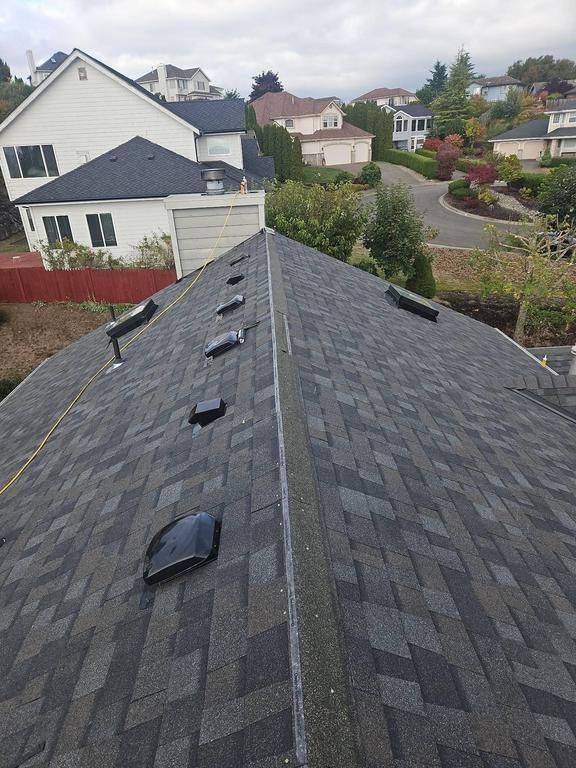 GAF Dark gray shingle roof with several skylights, in a suburban neighborhood with houses and trees.