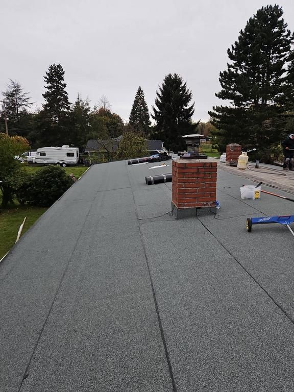 A flat roof with a brick chimney and several cylindrical vents. Overcast sky and trees in the background.