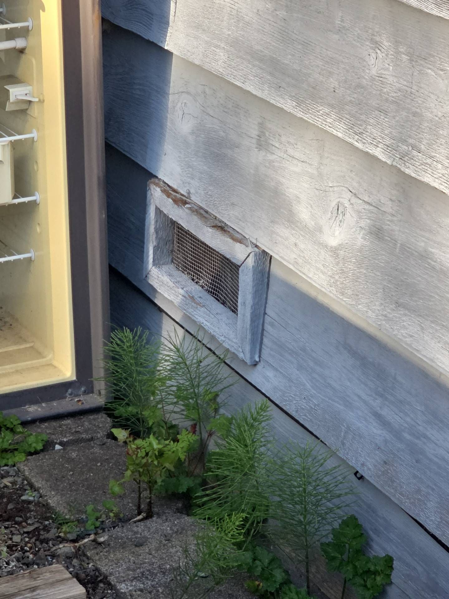 A weathered rectangular vent with wire mesh on a gray-painted wooden wall, near a window and plants.