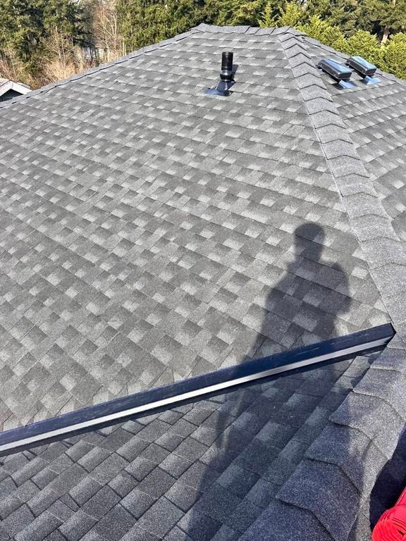 Grey asphalt shingle roof with black metal trim and a shadow of a person.