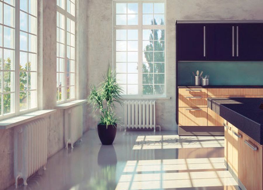 Bright sunlit kitchen with large windows, dark cabinets, and a potted plant on the floor