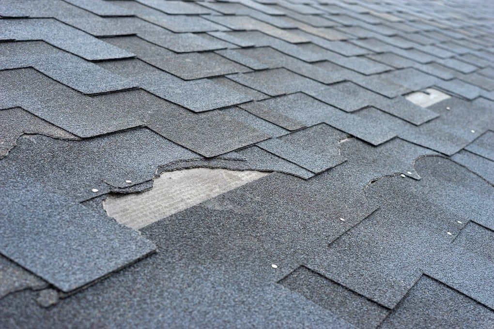 Damaged asphalt shingle roof, with missing and broken shingles; gray color.