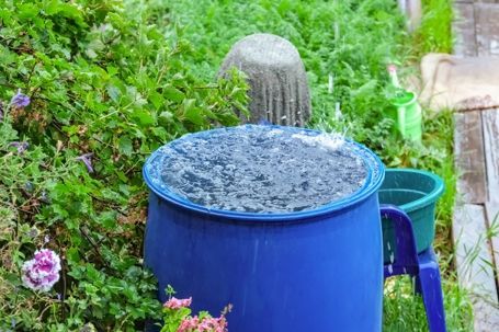Blue rain barrel overflowing with water in a lush green garden.