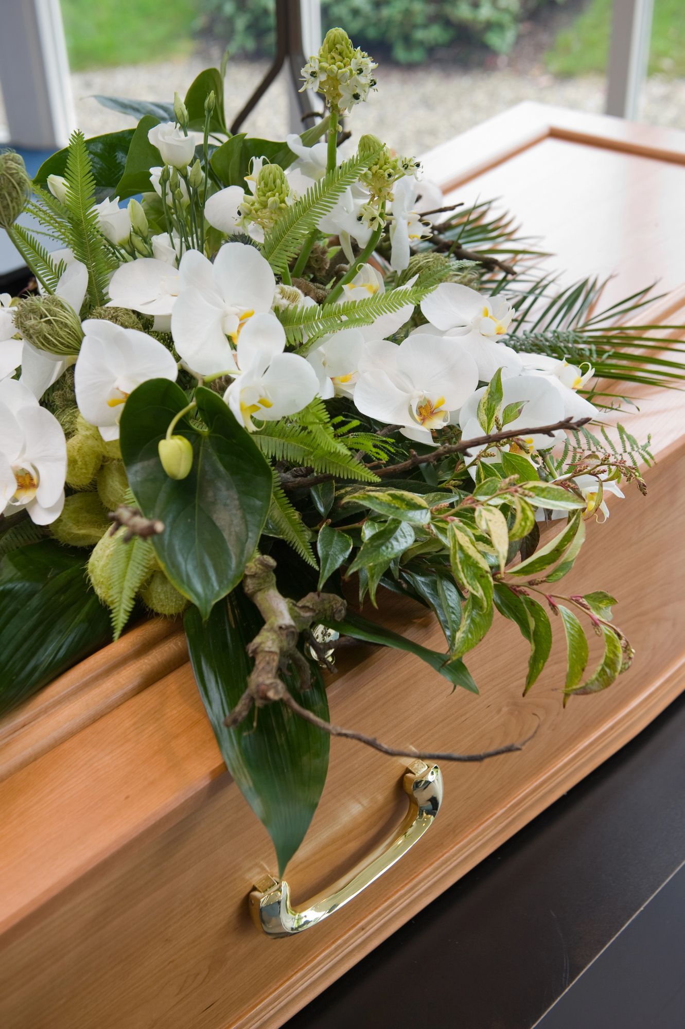 Fiori bianchi