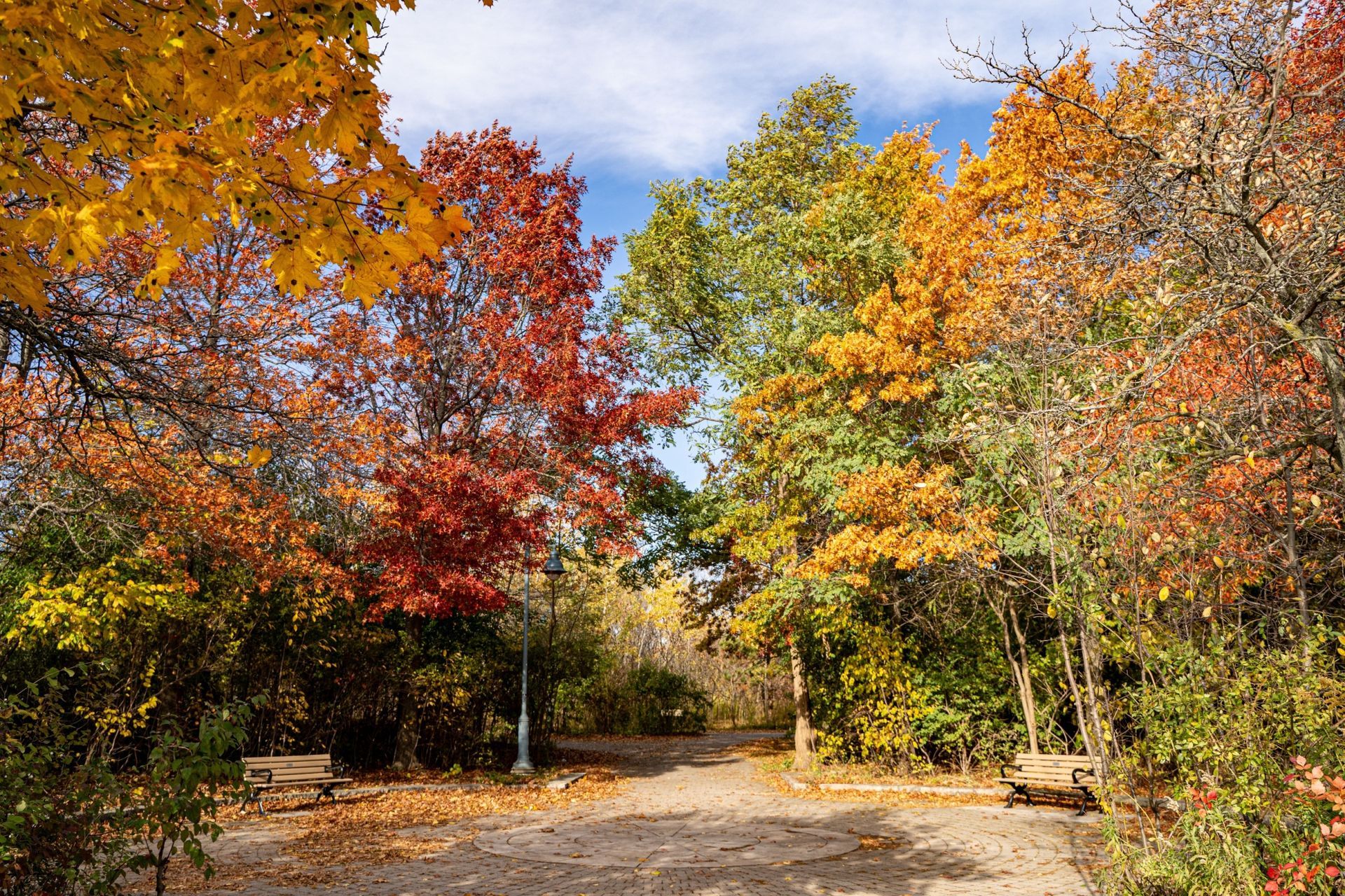 10 Reasons to Call Birchcliff and Cliffside Toronto Home