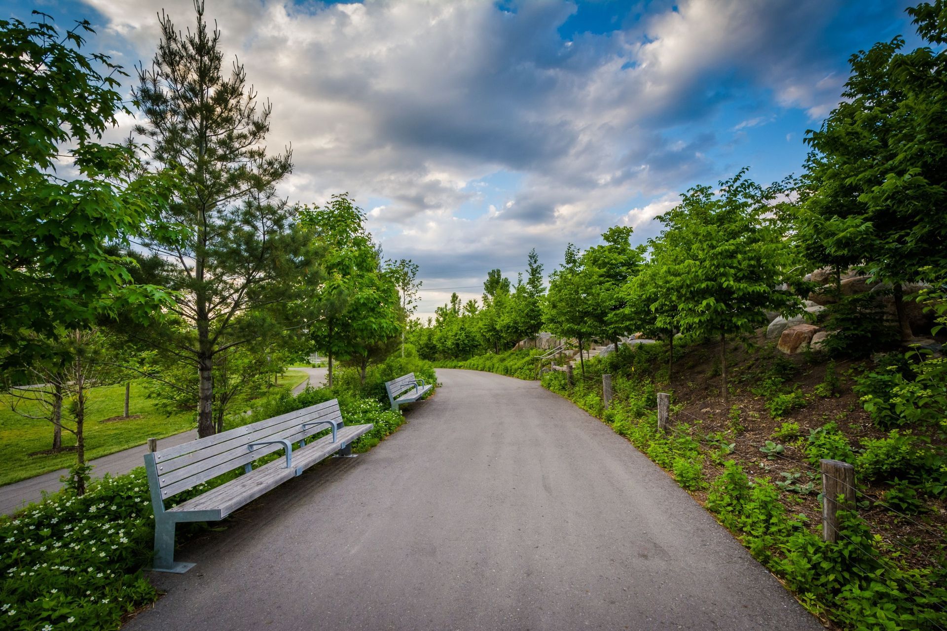 10 Reasons to Call Corktown Toronto Home
