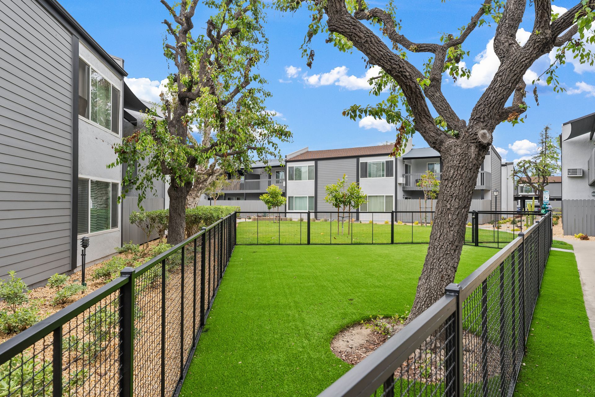Exterior photo of The Edward Apartments -Grassy Area