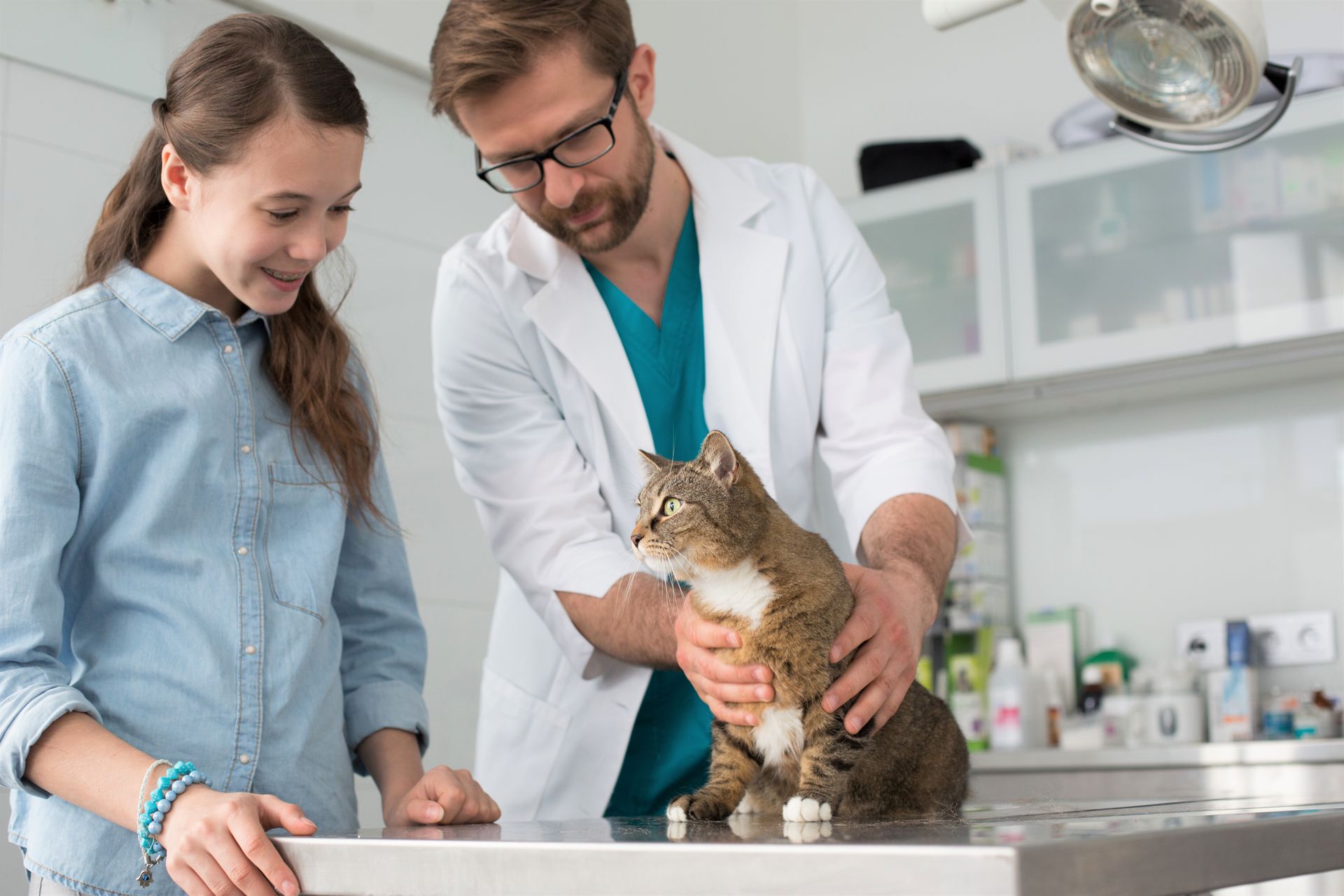A veterinarian, next to a pet owner, is examining a cat on a table in a veterinary clinic. A veterinarian, next to a pet owner, is examining a cat on a table in a veterinary clinic.