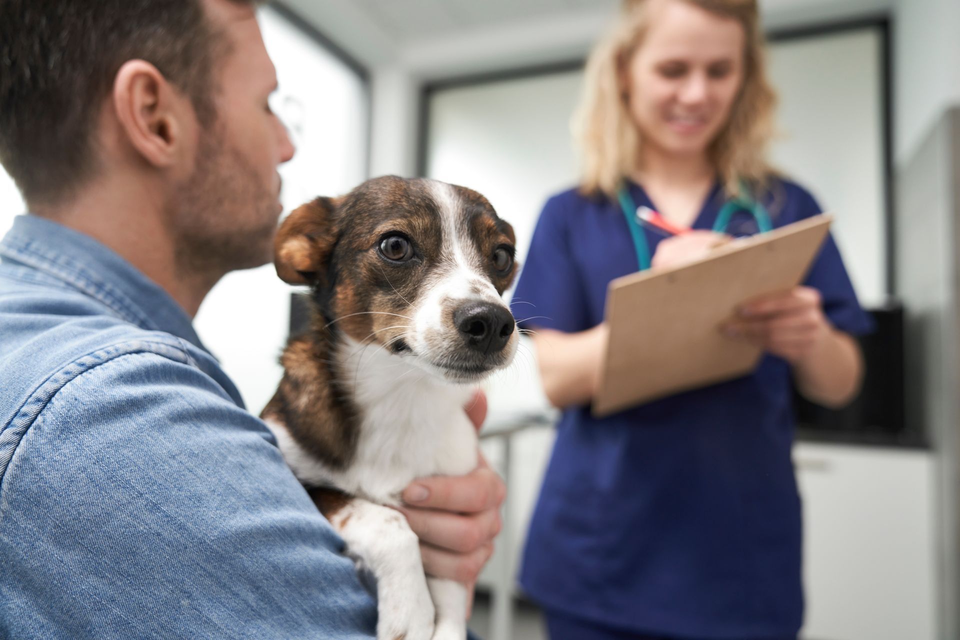 Vet team member taking notes as an owner holds a dog