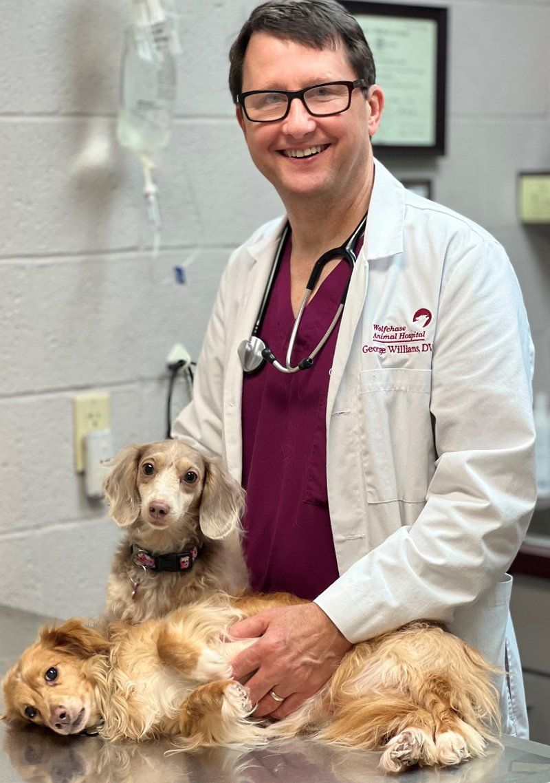 George Williams — Bartlett, TN — Wolfchase Animal Hospital