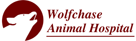 Wolfchase Animal Hospital Wolfchase Animal Hospital