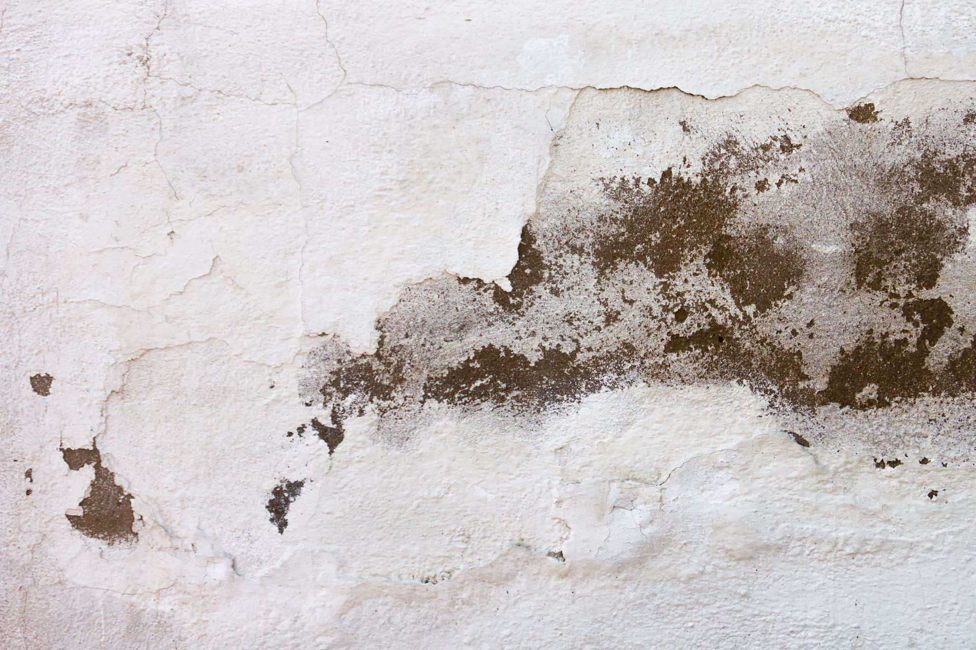 Mur blanc fissuré et présentant des taches brunes.