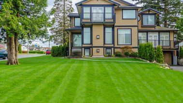 Picture of exterior house services like new vinyl siding, replacement windows and new sliding glass doors in Belleville.