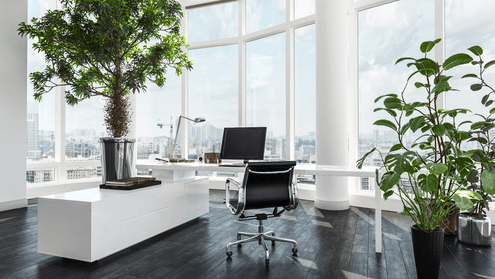 Large floor to ceiling windows in an office. Belleville Windows and Doors is the top choice for a windows and doors company near me.