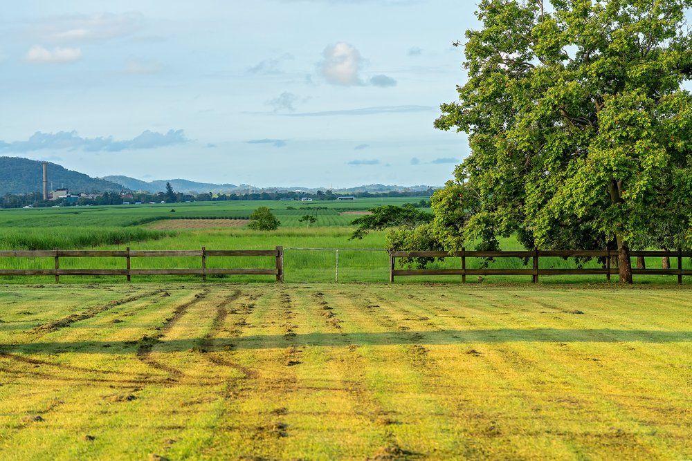 Mowed Farm Land — Excavators in Wedderburn