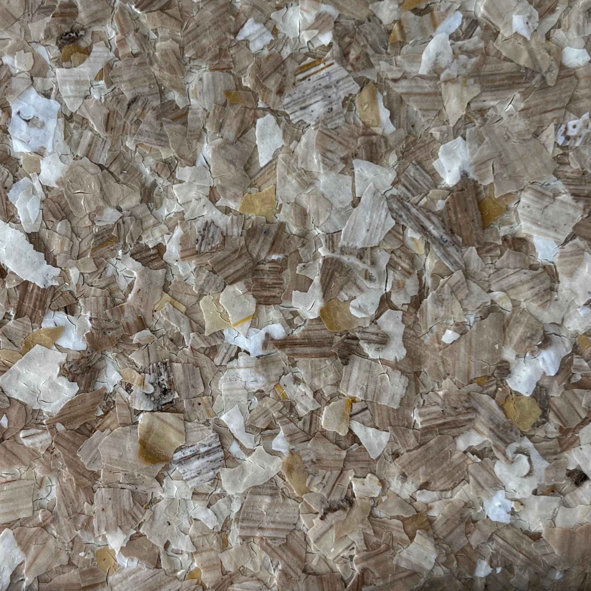 Close-up of tan and white wood chips or bark mulch scattered across the ground
