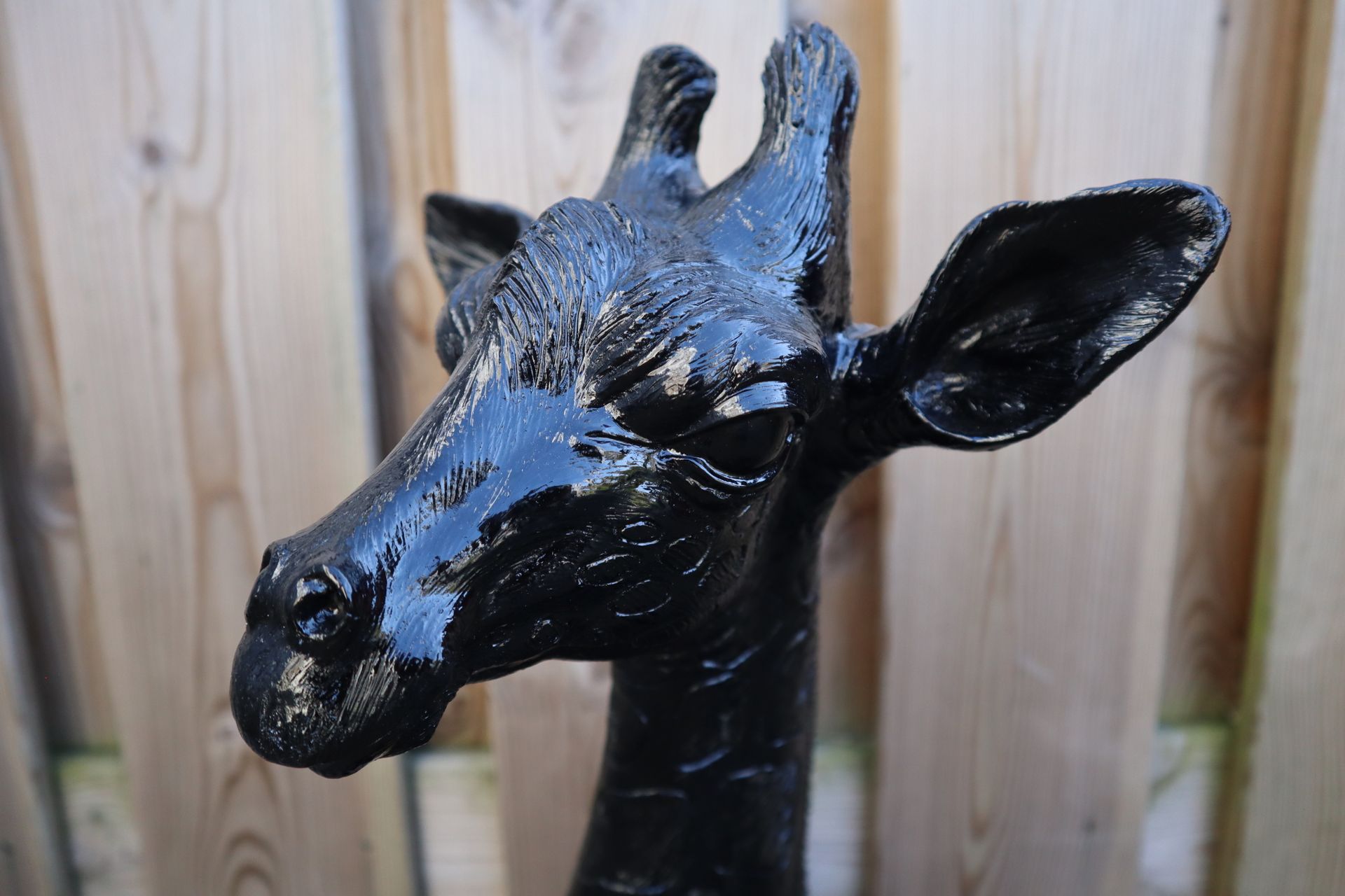 Giraffe beeld 57 cm zwart liggend eyecatcher tuinbeeld dierenbeeld