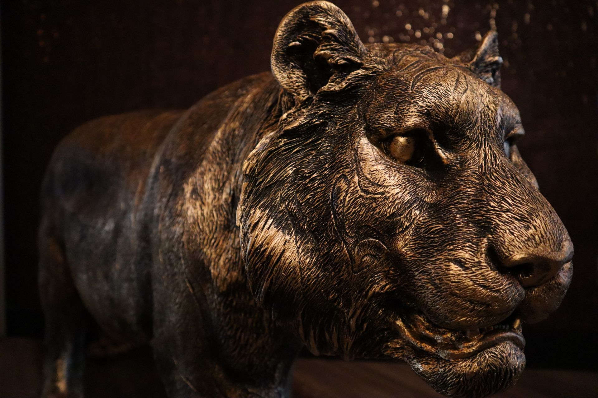 Tijger beeld XL lopend 130cm dierenbeeld goud