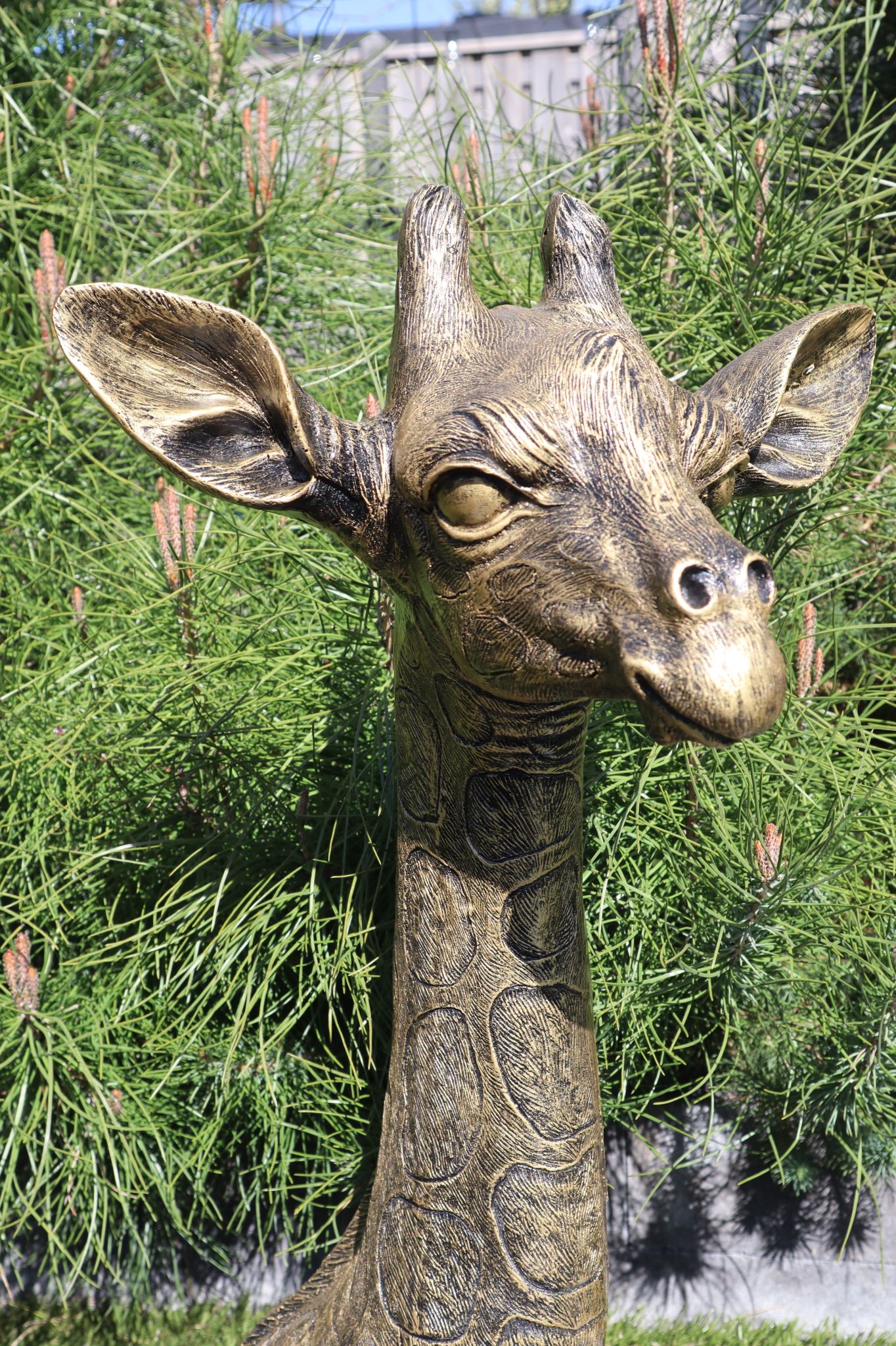 Giraffe beeld 79 cm goud liggend eyecatcher tuinbeeld dierenbeeld