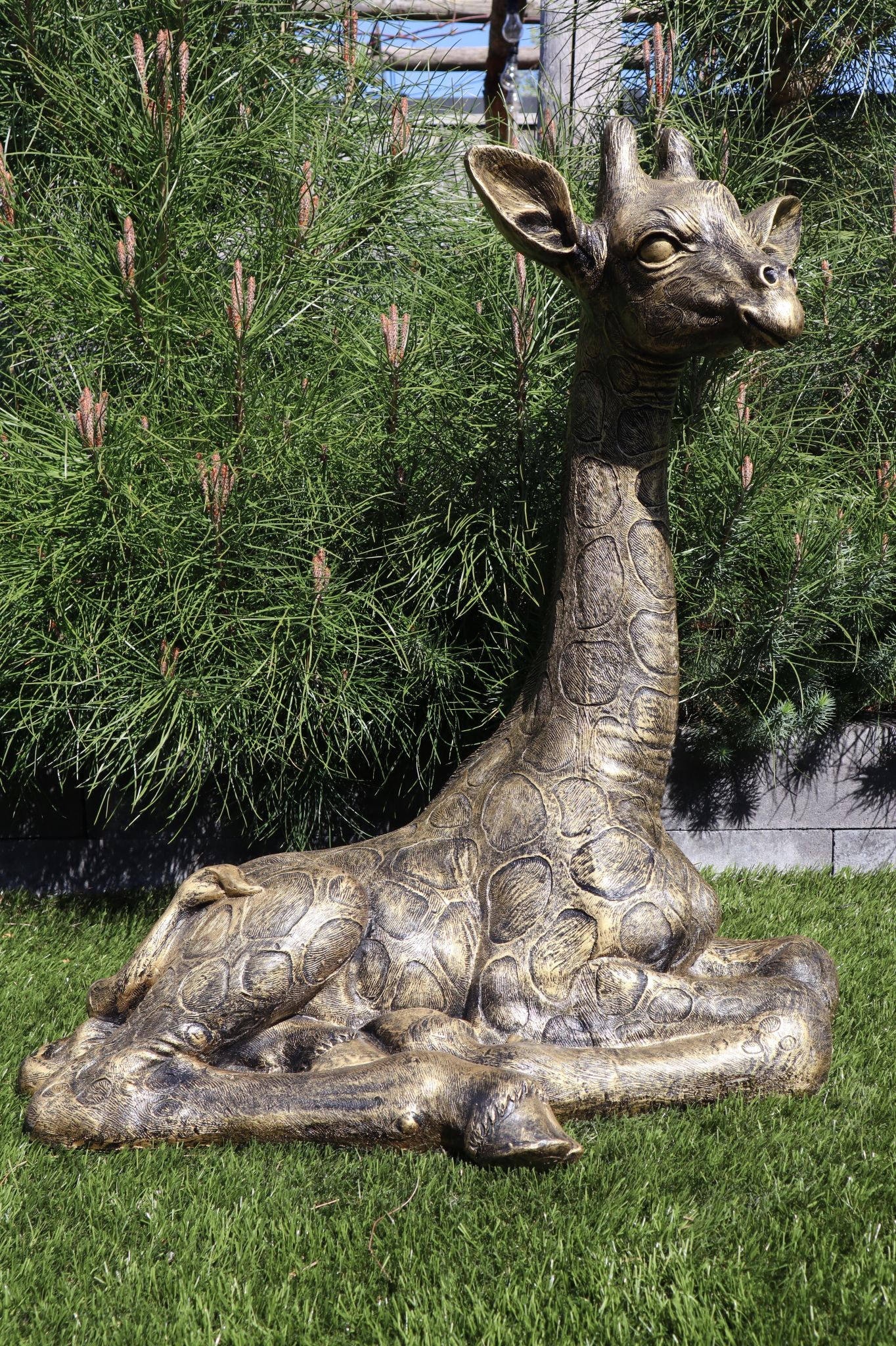 Liggend giraffe beeld goud 79 cm luxe dierenbeeld voor binnen en buiten