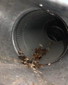 Dirty Duct Brown - Bluffton, SC - Ugly Duct Cleaning