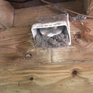 Dirty White Vent - Bluffton, SC - Ugly Duct Cleaning
