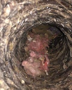 Duct With Pink Residue - Bluffton, SC - Ugly Duct Cleaning