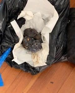 Dirt On Plastic - Bluffton, SC - Ugly Duct Cleaning