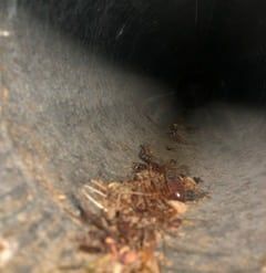 Dirty Duct Brown - Bluffton, SC - Ugly Duct Cleaning