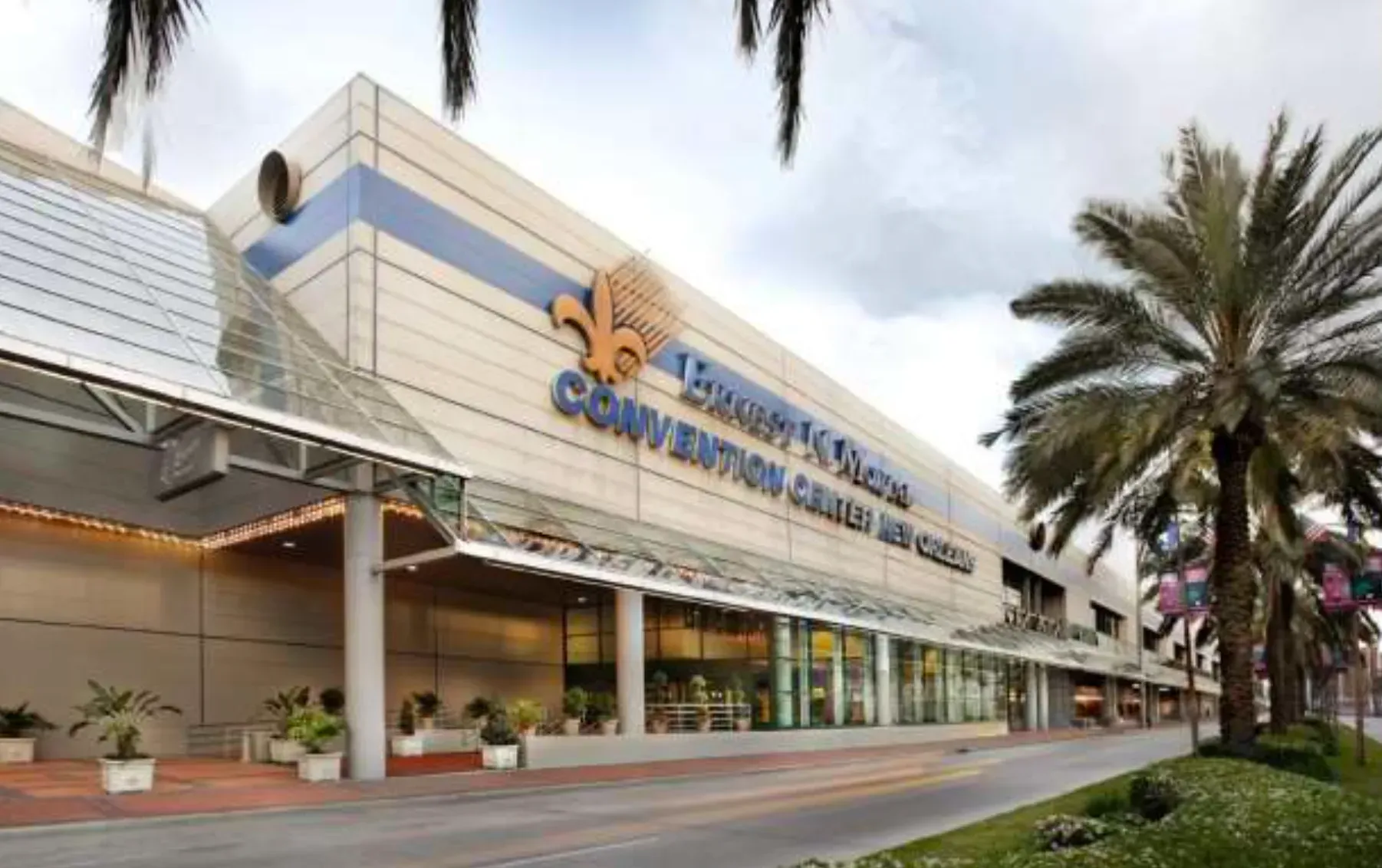 A large building with a palm tree in front of it.