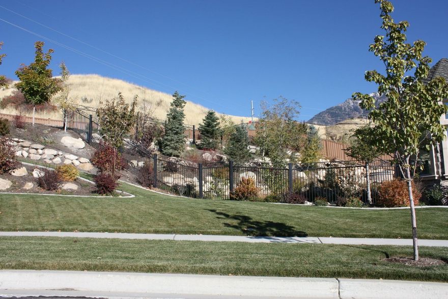 Lush green lawn with trees and a wooden fence, leading to a hillside under a clear blue sky.