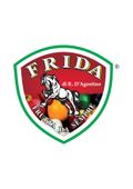 FRIDA_logo