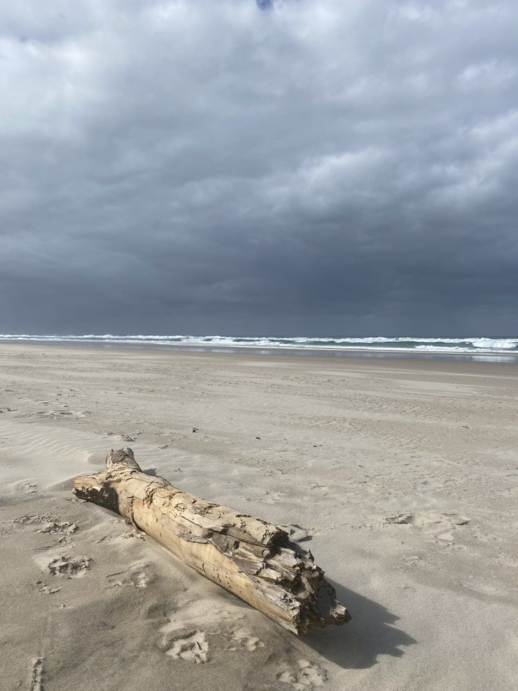 A Large Log Is Laying on The Sand on A Beach — Kingscliff Pool Shop In Casuarina, NSW