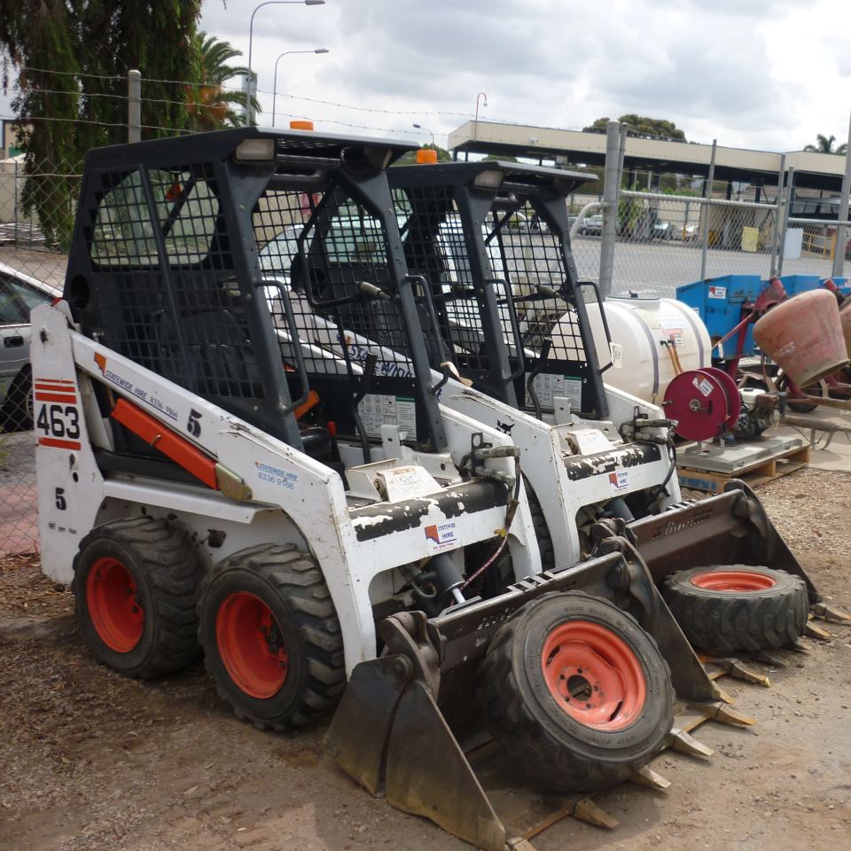 Bobcat