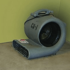 Carpet Dryer