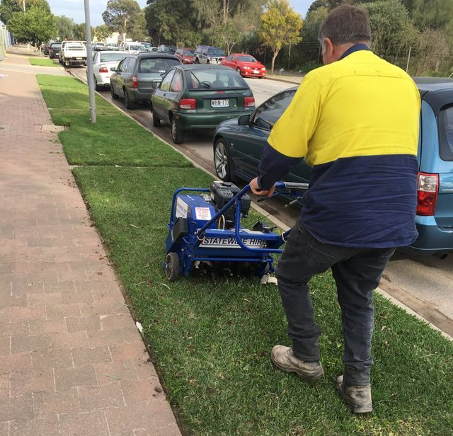 Spring lawn renovation in Adelaide after scarifying and aerating