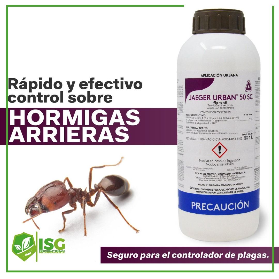 Una foto de una hormiga junto a una botella de hormigas arieras