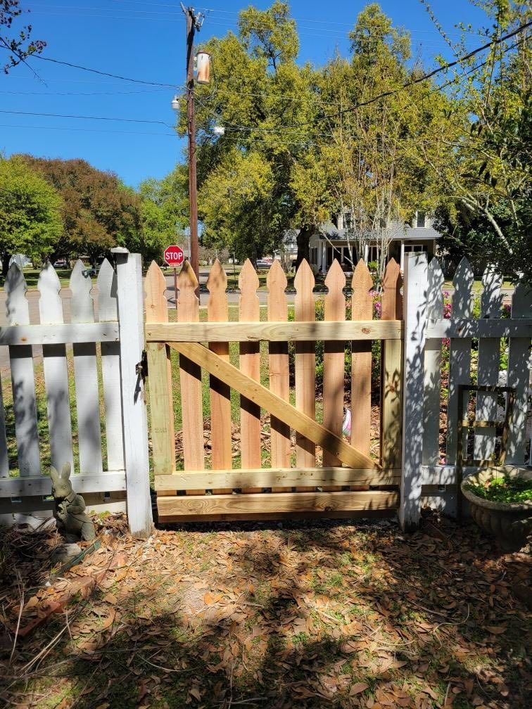 Wooden picket gate in a white fence, with a sunlit yard and trees behind it