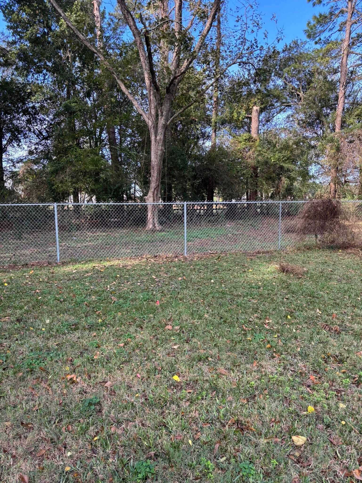Chain-link fence beside grassy yard and trees under a blue sky.