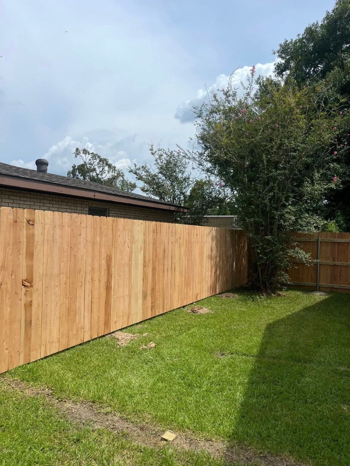 Backyard with green grass, wooden fence, and a tree under a partly cloudy sky