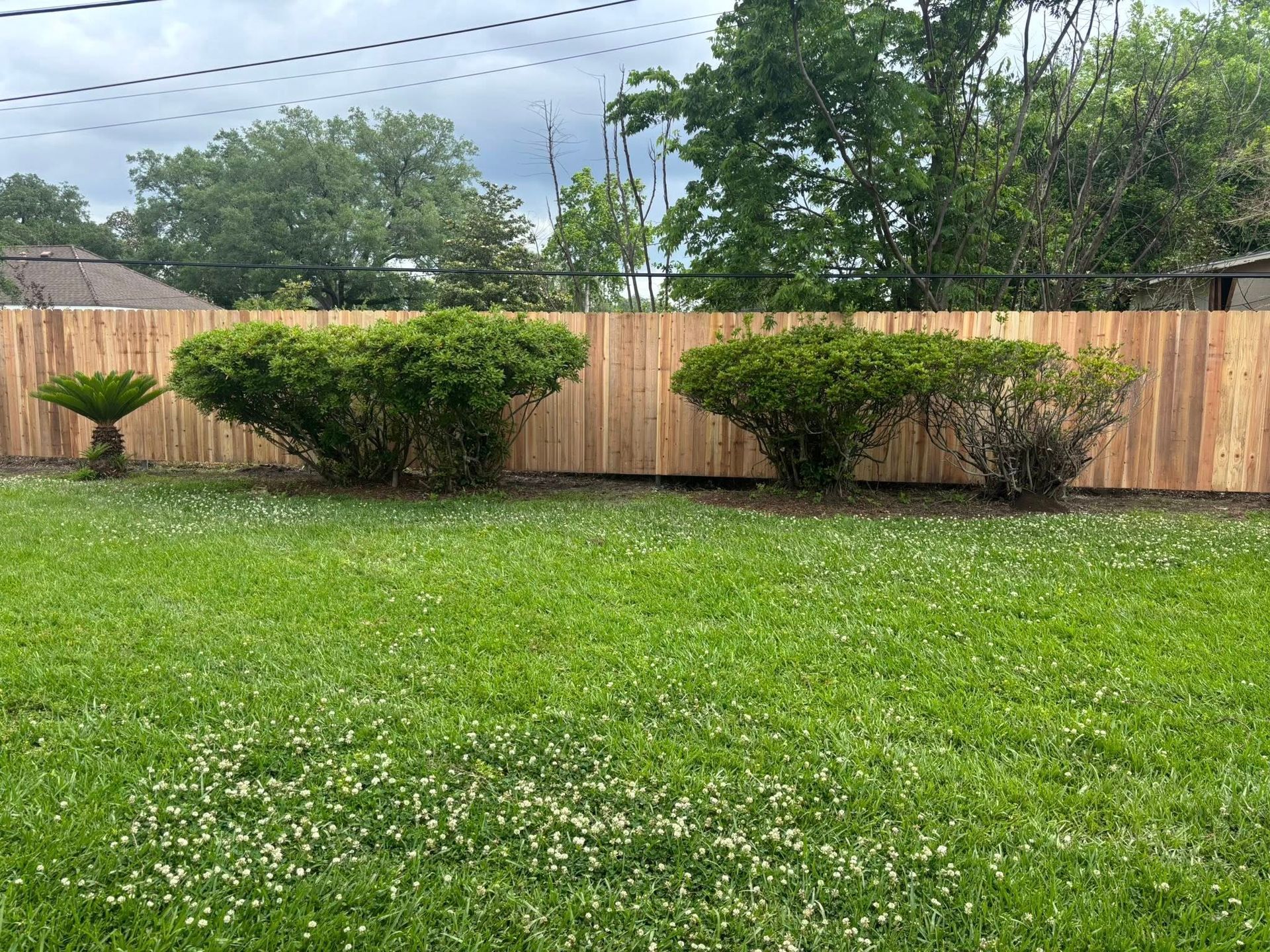 Backyard with green lawn, wooden fence, and neatly trimmed bushes under a cloudy sky