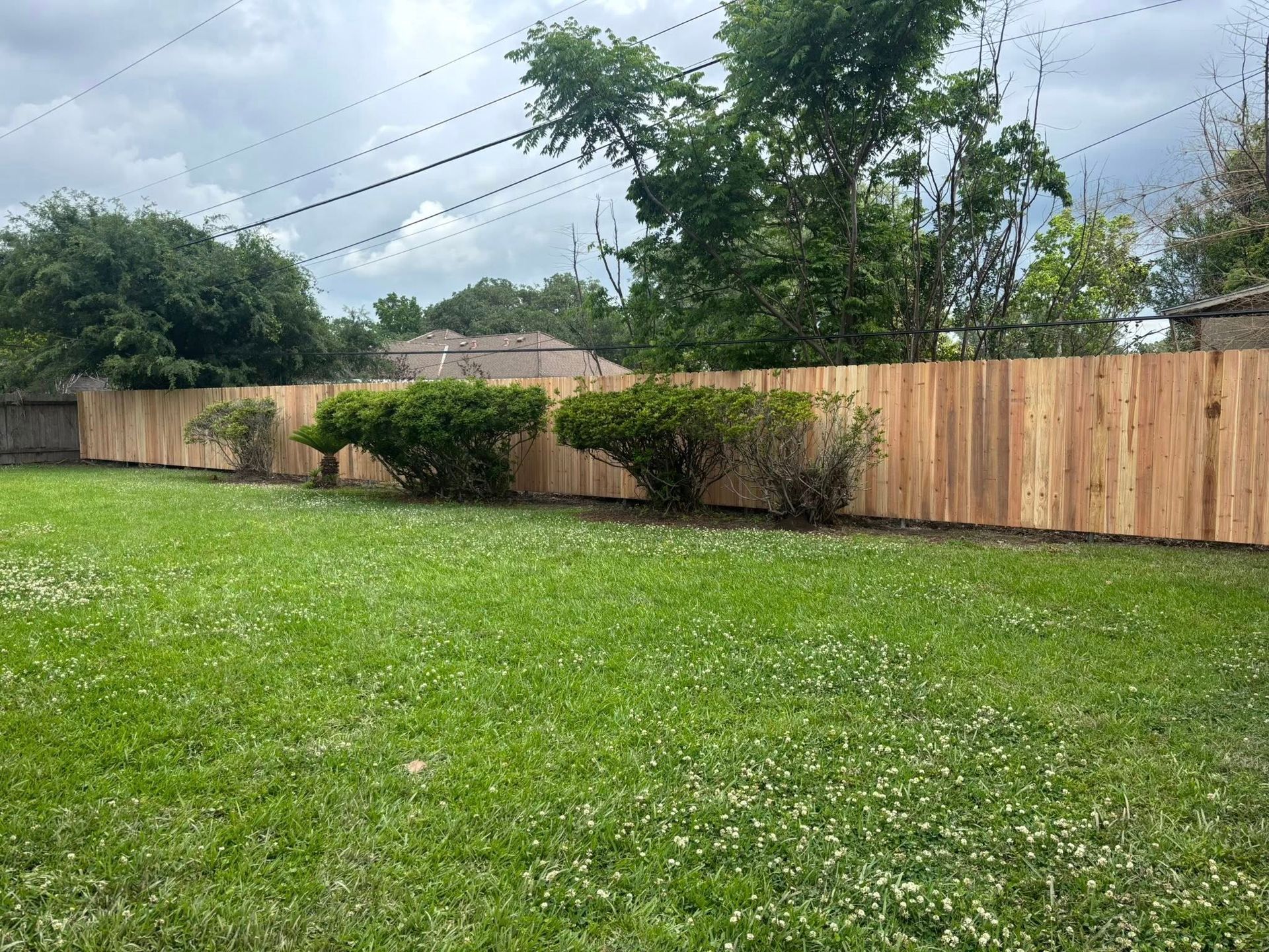 Grassy backyard with wooden fence, shrubs, and cloudy sky