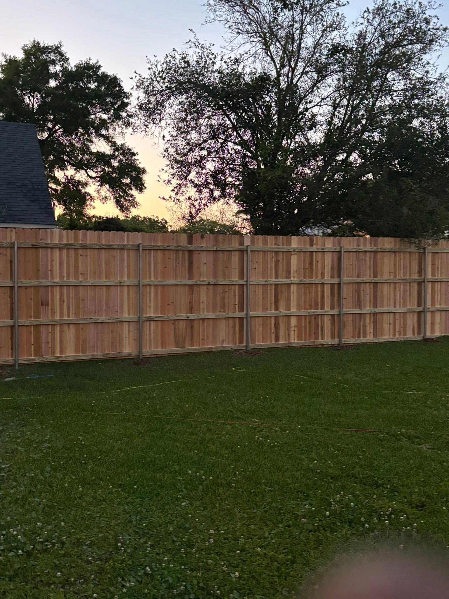 Wooden fence with trees behind it at sunset over a grassy yard