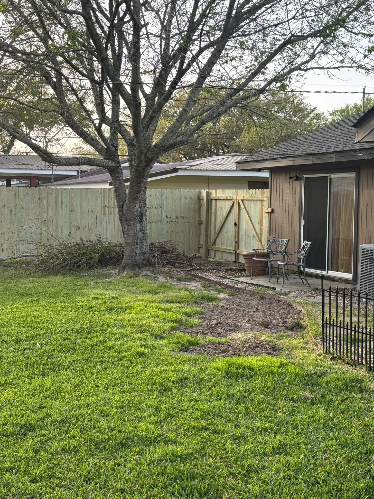 Backyard with a large tree, green lawn, wooden fence, and a small shed or patio area.