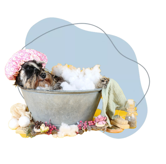 Un cane con una cuffietta rosa si rilassa in una vasca da bagno con schiuma, fiori e uno sfondo azzurro.