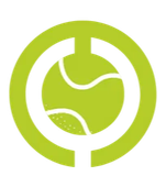 VidaleSport
