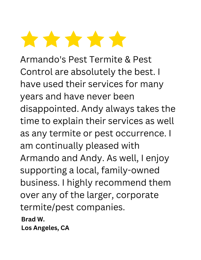 A client testimonial for Armando's Termite & Pest Control in Los Angeles, CA