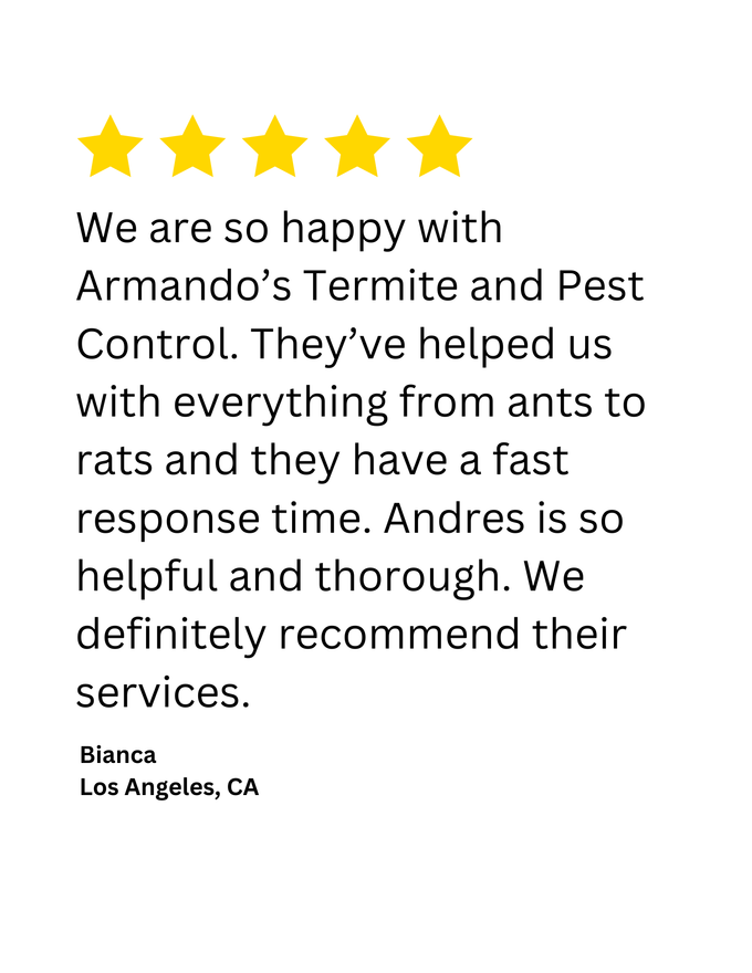 A client testimonial for Armando's Termite & Pest Control in Los Angeles, CA